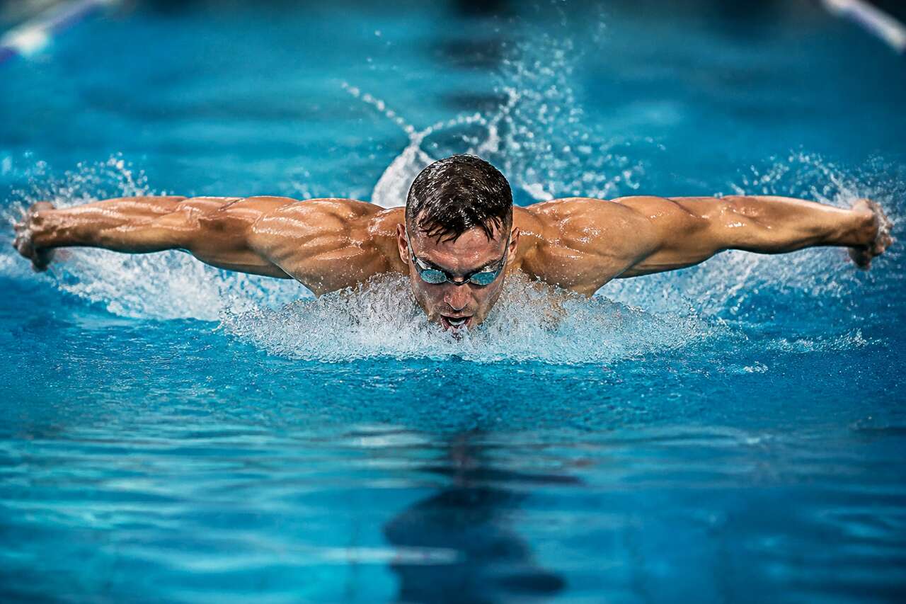Quels muscles travaillent au papillon : chaîne complète de la tête aux pieds Quels muscles travaillent au papillon : chaîne complète de la tête aux pieds