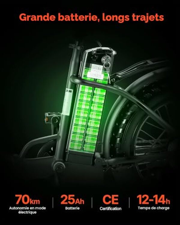 Découvrez notre test complet du vélo électrique pliable VEVOR 250 W : autonomie, performance et praticité pour vos trajets quotidiens. 